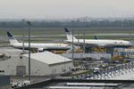 EC-LZO @ LOWW - Privilege Style Boeing 767-300ER + Privilege Style Boeing 777-200ER (EC-MUA) - by Thomas Ramgraber