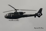 N46ZZ @ EBKT - Landing at Wevelgem. - by Raymond De Clercq