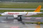 TC-NBH @ EDDL - Airbus A320-251N - PC PGT Pegasus 'Demokrasi' - 7399 - TC-NBH - 28.05.2019 - DUS - by Ralf Winter