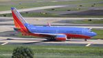 N762SW @ KTPA - TPA spotting 2018 - by Florida Metal