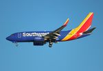 N770SA @ KTPA - TPA 2020 - by Florida Metal