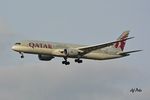 A7-BHE @ EBBR - Landing at Brussels Airport.