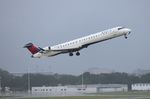 N913XJ @ KTPA - TPA spotting 2019 - by Florida Metal
