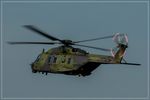 78 16 @ EDDR - NHI NH-90 TTH, c/n: 1077/TGEA16 - by Jerzy Maciaszek