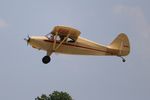 N5582M @ KOSH - EAA OSH 2019 - by Florida Metal
