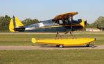 N5901V @ KOSH - EAA OSH 2018