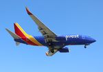 N7725A @ KLAX - LAX spotting 2018 - by Florida Metal
