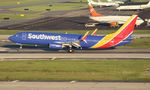N8301J @ KTPA - TPA spotting 2018 - by Florida Metal