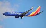 N8533S @ KTPA - TPA spotting 2020 - by Florida Metal