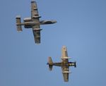 N39606 @ KOSH - EAA OSH 2019 - by Florida Metal