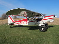 N87875 @ 2IS3 - 1954 Piper Supercub, PA18 L21B.  Lots of Bush Mods - by Owner