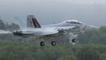 168376 @ NUW - VAQ-133 'Wizards' CAG-Bird - by Gary Hobson