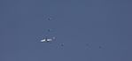 ZZ336 - ZZ336 Just of the Isle of Man doing AAR in AARA13 with 5 Typhoons 2 of which are breaking off to RTB