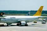 D-AICM @ EDDF - Condor A310 - by FerryPNL