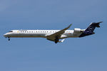 D-ACNP @ LHBP - lhbp - by Ferenc Kolos