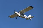 N8307V @ IL22 - Champion 7ECA