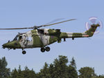 ZG923 @ EGSH - Lynx - by Matt Varley