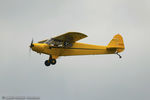 N3331N @ KLAL - Piper J3C-65 Cub  C/N 22531, N3331N