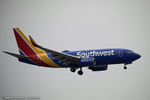 N441WN @ KEWR - Boeing 737-7H4 - Southwest Airlines  C/N 29837, N441WN