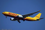 D-ALMA @ KJFK - Airbus A330-243F - DHL (European Air TRansport - EAT)   C/N 1524, D-ALMA