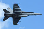 165172 photo, click to enlarge