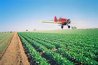 N3160 @ C.A - Aeronautica Snow Co.  Snow S-2B . Valle de San Joaquín , Fresno CA. Capt Fill Addis 1965 - by Farmer the Fresno.