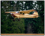 N1946C @ KAWO - KAWO - by Terry Green