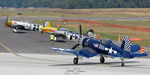 N83JC @ KCEF - Sky Boss taxing back to the WWII ramp - by Topgunphotography