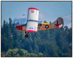 N678DW @ KAWO - KAWO - by Terry Green
