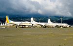 N103MP @ PHNL - Mid Pacific line-up in HNL - by FerryPNL