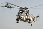 ZE425 @ EGDY - RNAS Yeovilton Air Day 2013 UK - by Steve Wright