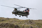ZD984 photo, click to enlarge