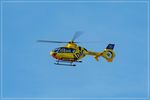 D-HOEM @ EDDR - Airbus Helicopters EC-135P-2, c/n: 0238 - by Jerzy Maciaszek