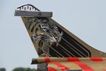 143 @ LFRJ - Dassault Rafale C, Tail close up view, Landivisiau Naval Air Base (LFRJ) Tiger Meet 2017 - by Yves-Q