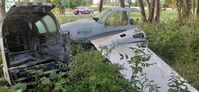 N95BB - Scrapped and dumped in the woods at an Indianapolis paintball park - by Dan O