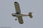 N3103N @ KOSH - Cessna 140  C/N 13361, N3103N - by Dariusz Jezewski www.FotoDj.com