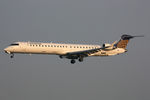 D-ACND @ EHAM - at spl - by Ronald