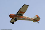 N75875 @ KOSH - Cessna 170A  C/N 18877, N75875 - by Dariusz Jezewski www.FotoDj.com