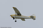 N9915A @ KOSH - Cessna 170A  C/N 19275, N9915A