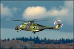 79 31 @ EDDR - 2018 NHI NH-90 TTH, c/n: TGEE31 - by Jerzy Maciaszek