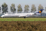 D-ACKD @ EHAM - at spl - by Ronald