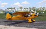 N88462 @ C77 - Piper J3C-65 - by Mark Pasqualino
