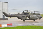 XW231 @ EGSH - Parked with XW235 at Norwich.