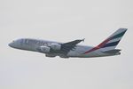 A6-EDI photo, click to enlarge A6-EDI photo, click to enlarge