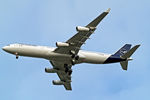D-AIGU @ EGLL - D-AIGU   Airbus A340-313X [321] (Lufthansa) Home~G 25/12/2020
