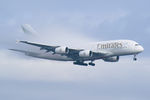 A6-EUL @ LOWW - Emirates Airbus A380 - by Thomas Ramgraber