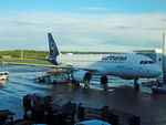 D-AIZO photo, click to enlarge