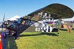 N49204 @ KEFD - N49204   (43-1562/431562) Aeronca 0-58B Grasshopper [058B-4922] Houston-Ellington Field~N 15/10/2011 - by Ray Barber