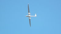 F-COSP - Photo prise  à Lançon Provence  Planeur STEMME S10  BUSARD   de l'ONERA - by Gerard BEERNAERT