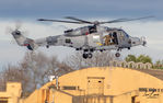 ZZ389 @ EGXE - Wildcat Tempest 2022 - by ianlane1960